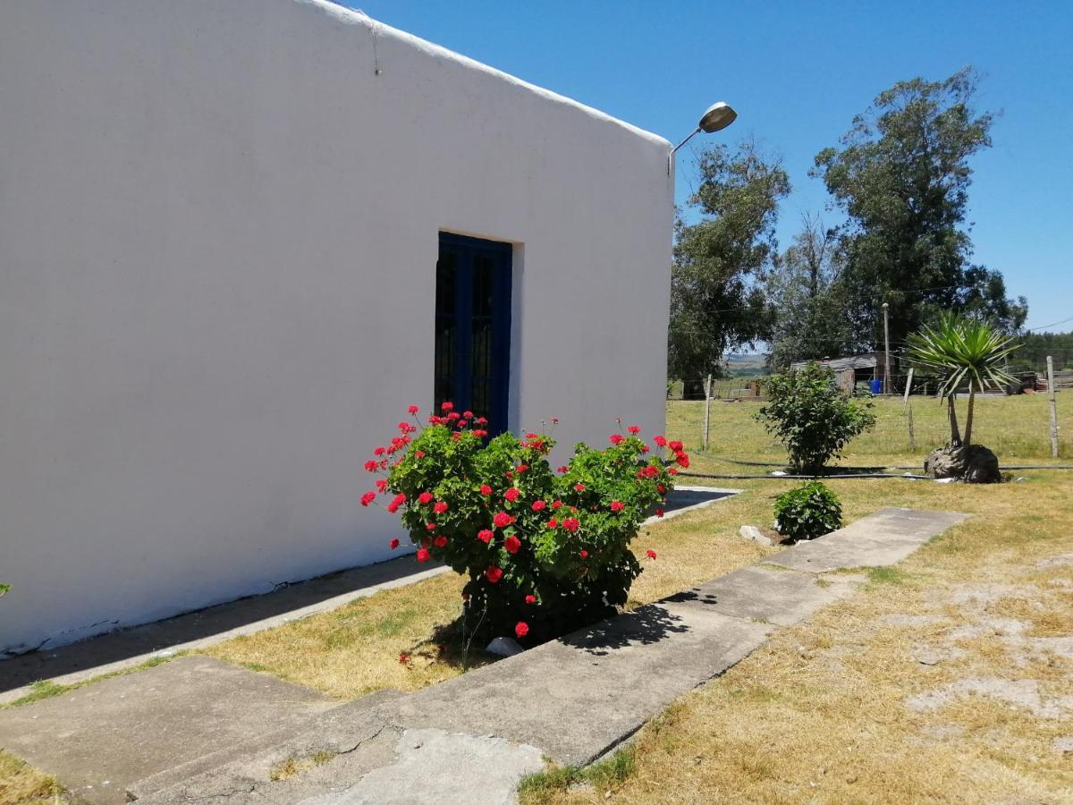 Hostal La Chacra Minas Exterior foto